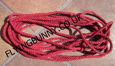 IMG_0493_crop2000_FETBOUND.jpg